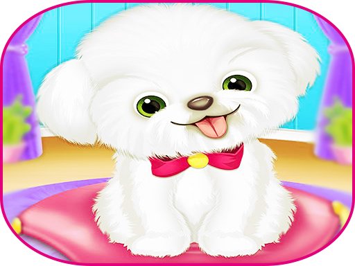 Jouer Pets Day Care Pro Jeu