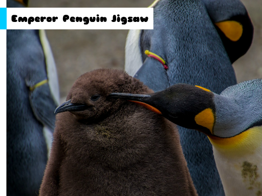 Jouer Emperor Penguin Jigsaw Jeu