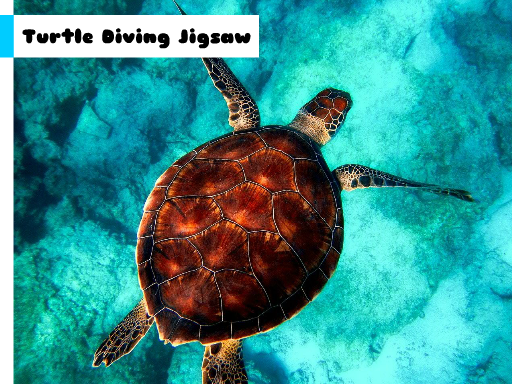 Jouer Turtle Diving Jigsaw Jeu