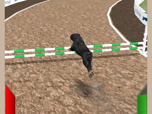 Jouer Crazy Real Dog Race Jeu