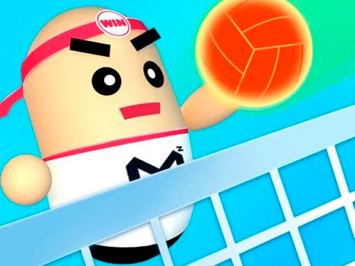 Jouer 3D Amazing VolleyBall Jeu