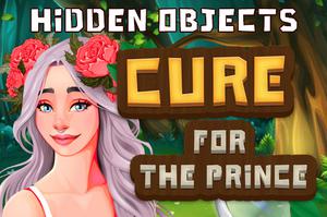 Jouer Hidden Objects Cure For The Prince Jeu