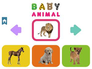 Jouer Baby Animal Jeu